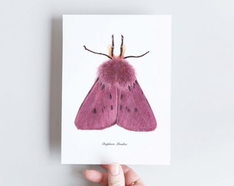 Purple Moth Naturalist A6 Card