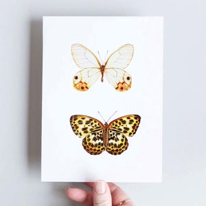 Doppelte A6-Illustrationskarte mit goldenen Schmetterlingen