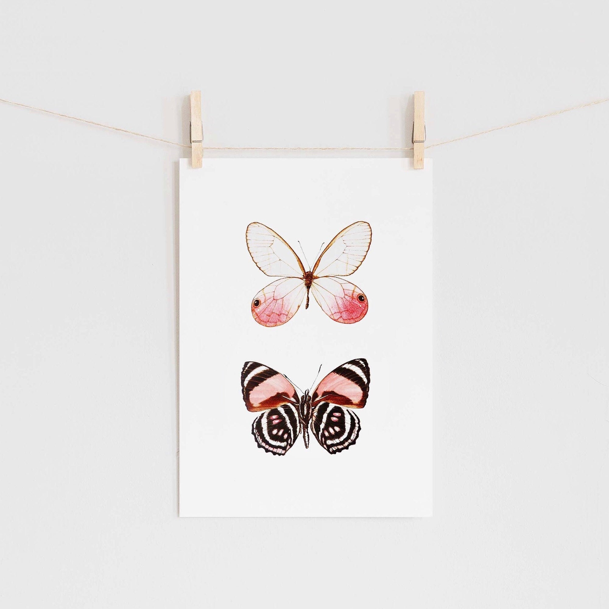 530 Best Butterfly Art ideas  butterfly art, butterfly, beautiful  butterflies