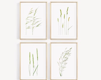 Botanical watercolor posters wild herbs