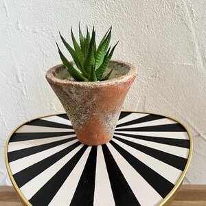 May include: A small, spiky green succulent plant potted in a weathered, conical terracotta pot with a textured, rustic finish. The pot features mottled earthy tones and sits centered, showcasing its pointed leaves and natural clay construction.