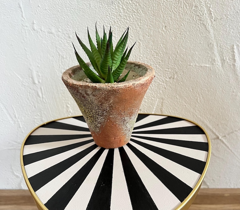 May include: A small, spiky green succulent plant potted in a weathered, conical terracotta pot with a textured, rustic finish. The pot features mottled earthy tones and sits centered, showcasing its pointed leaves and natural clay construction.