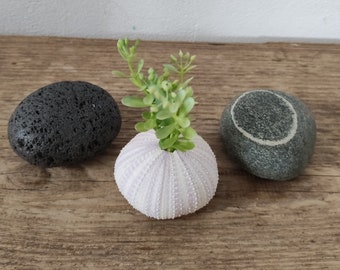 Natural Stone Trio