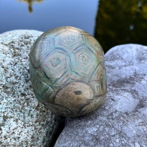 Turtle painted on a stone