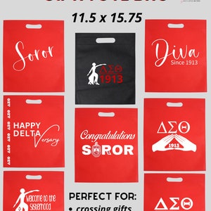 Delta Sigma Theta/DST/1913/SOROR/DIVA: Flat/Non-gusseted Delta Re-useable Gift Bags