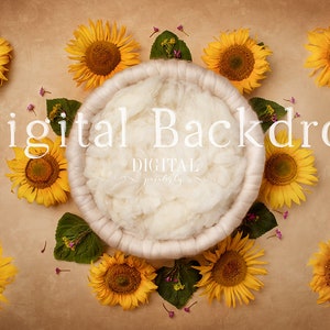 Digital Backdrop Newborn, Sunflowers Girl Boy Floral Backdrop, Newborn Bowl Digital Photo Prop, Newborn Digital Background bowl