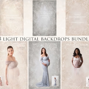 3 Light Digital Backdrops BUNDLE digital backdrop, digital background, oil painted backdrop for photographers, painterly style