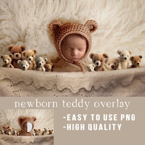 Teddy bear digital background for newborn, baby digital backdrop, face insert backdrop,  newborn composite, digital