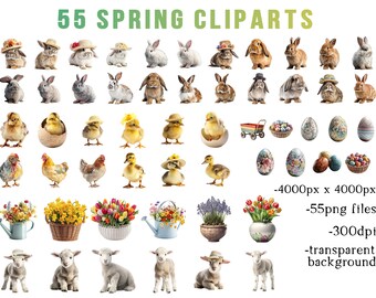 55 PNG Spring animals,  flowers cliparts, bunnies, lambs chicks, duckling, chickens, easter eggs, tulips, daffodils, commercial  licence,