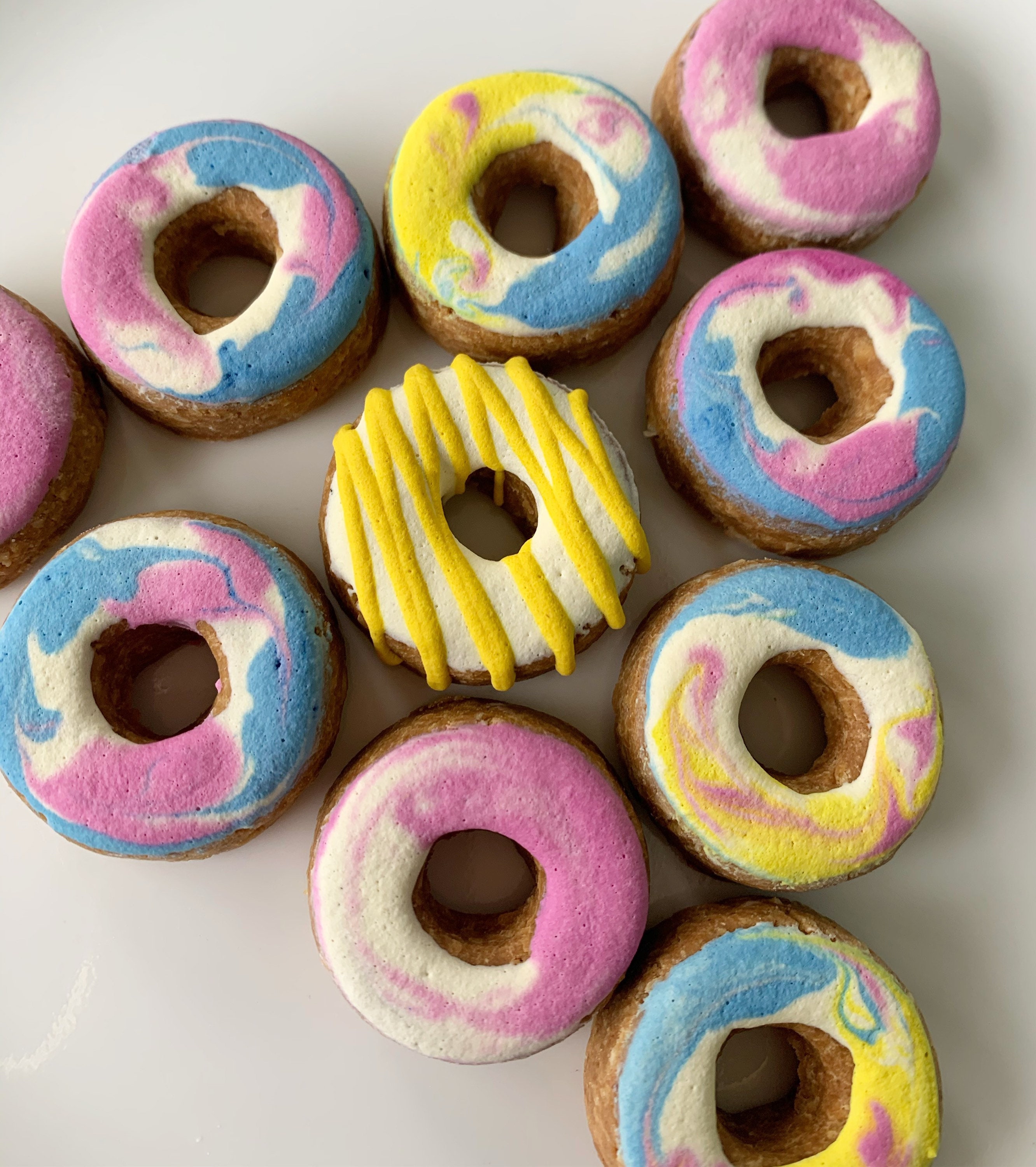 Iced doggie donuts - Organic Dog treats dog donuts Peanut Butter Oatm…