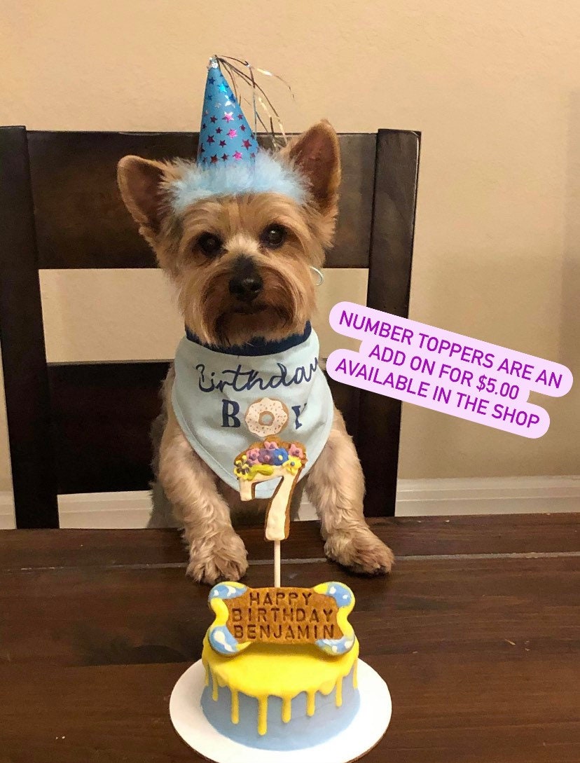 Dog cake 4 inch dog birthday cake - Please READ Description before or…