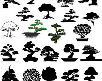 bonsai drawing etsy