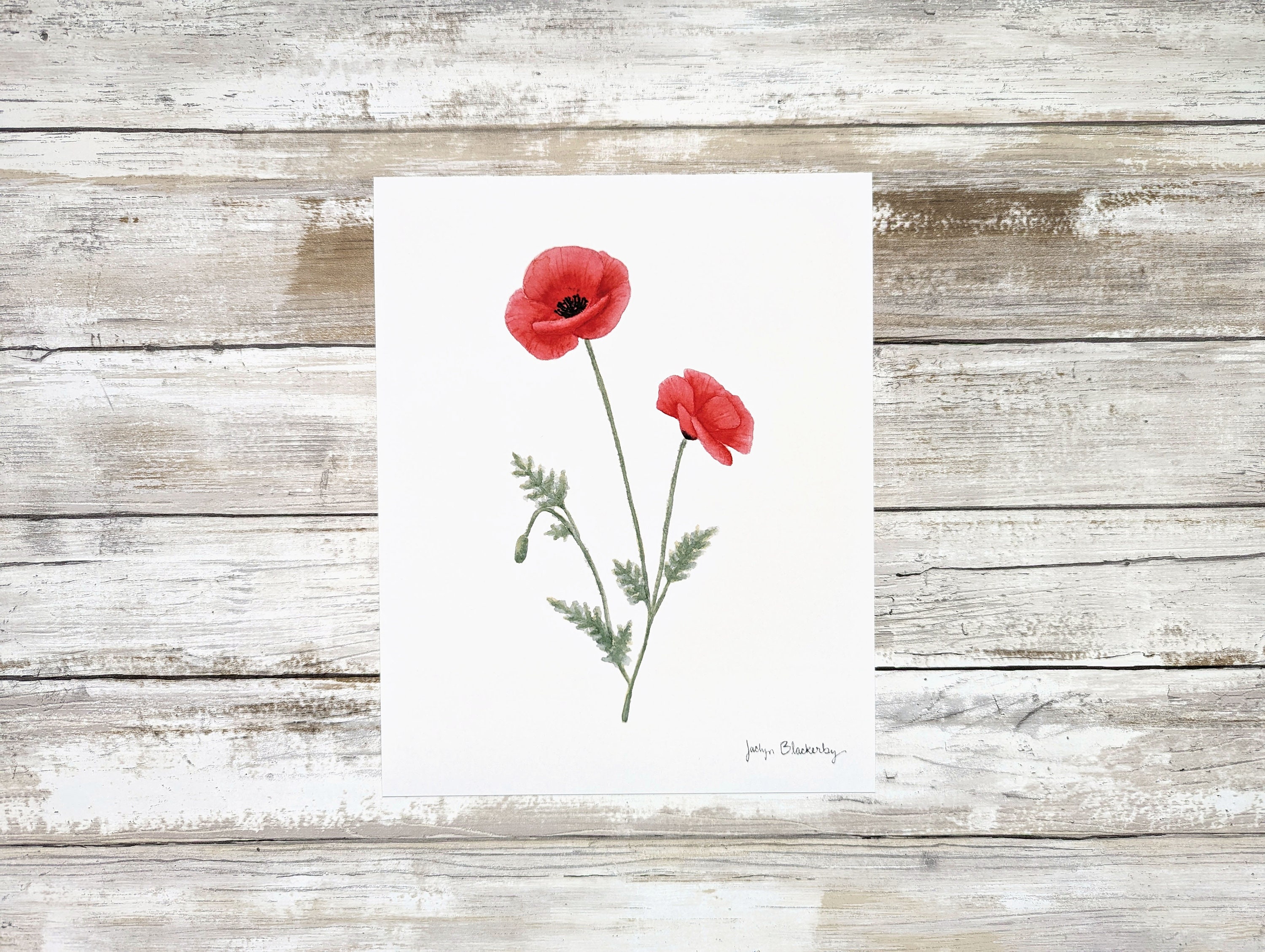 Red Poppy Flower Watercolor Art Print - Etsy