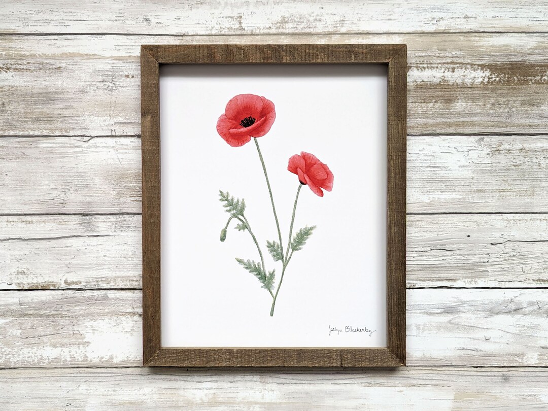 Red Poppy Flower Watercolor Art Print - Etsy