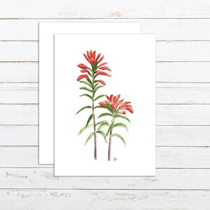 Cartão Texas Wildflower Cartão Pincel Indiano Para Páscoa Cartão Floral Aquarela Para Primavera Cartão Flor Laranja