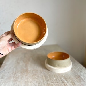 Handmade Orange Ceramic Dog Bowl with Wooden Stand