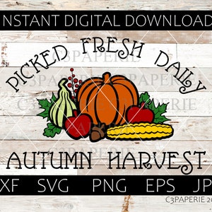Farm Fresh Sign Svg,  Autumn Harvest Svg, Farmers Market Svg, Fall Sign Svg, Fresh Picked Produce Svg