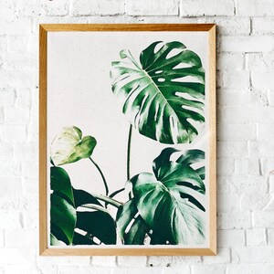 Rubber Plant Print, Watercolor Print, Watercolor Plant Print, Wall Art, Plant Print, Botanical Print, Modern Wall Art, Large Wall Art
