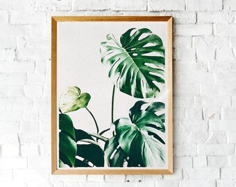 Rubber Plant Print, Watercolor Print, Watercolor Plant Print, Wall Art, Plant Print, Botanical Print, Modern Wall Art, Large Wall Art