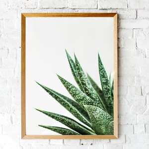 Aloe Wall Art, Nature Print, Succulent Print, Succulent Wall Art, Wall Art, Plant Print, Botanical Print, Modern Wall Art, Large Wall Art
