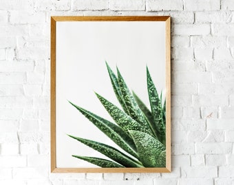 Aloe Wall Art, Nature Print, Succulent Print, Succulent Wall Art, Wall Art, Plant Print, Botanical Print, Modern Wall Art, Large Wall Art