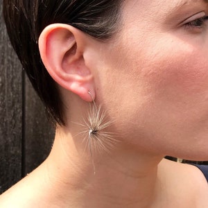 Curves #1 - in silver badger