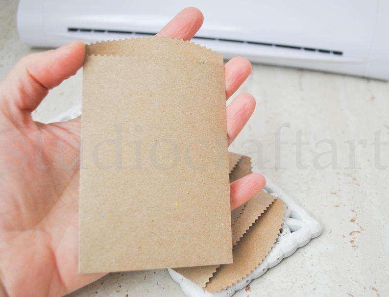 Bolsas de papel kraft pequeñas, paquetes de semillas para obsequios de boda. imagen 5