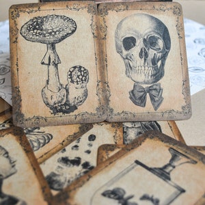 Tarjetas de papel gótico / Etiquetas de papel marrón gótico / Etiquetas góticas / Adorno de álbum de recortes gótico / Etiquetas de regalo góticas / Aspecto en mal estado / Cuervo calavera
