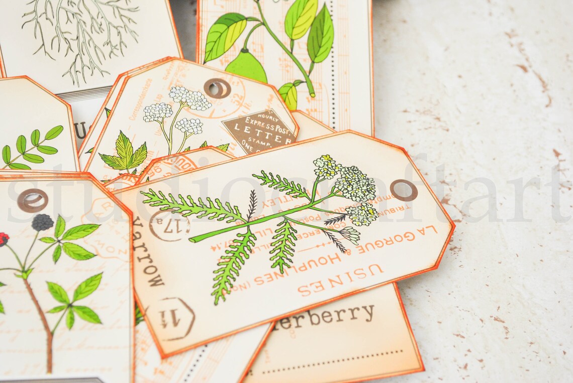 Herb-Apotheker-Papier-Karten Apotheker-Karten | Etsy Herb-Apotheker-Papier-Karten Apotheker-Karten | Etsy