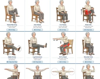 Chair Exercises for Seniors Printable | Chair Tai Chi Workout PDF, Seated Core & Ab Workout Poster, Chair Exercises to Reduce Stomach