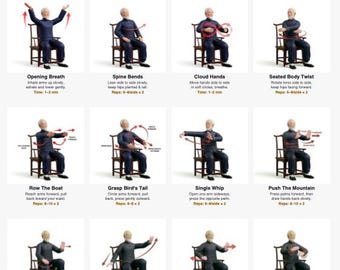 Seated Tai Chi Chair Workouts for Seniors & Men, Printable Tai Chi Exercise Chart PDF, Elderly Men Tai Chi Guide