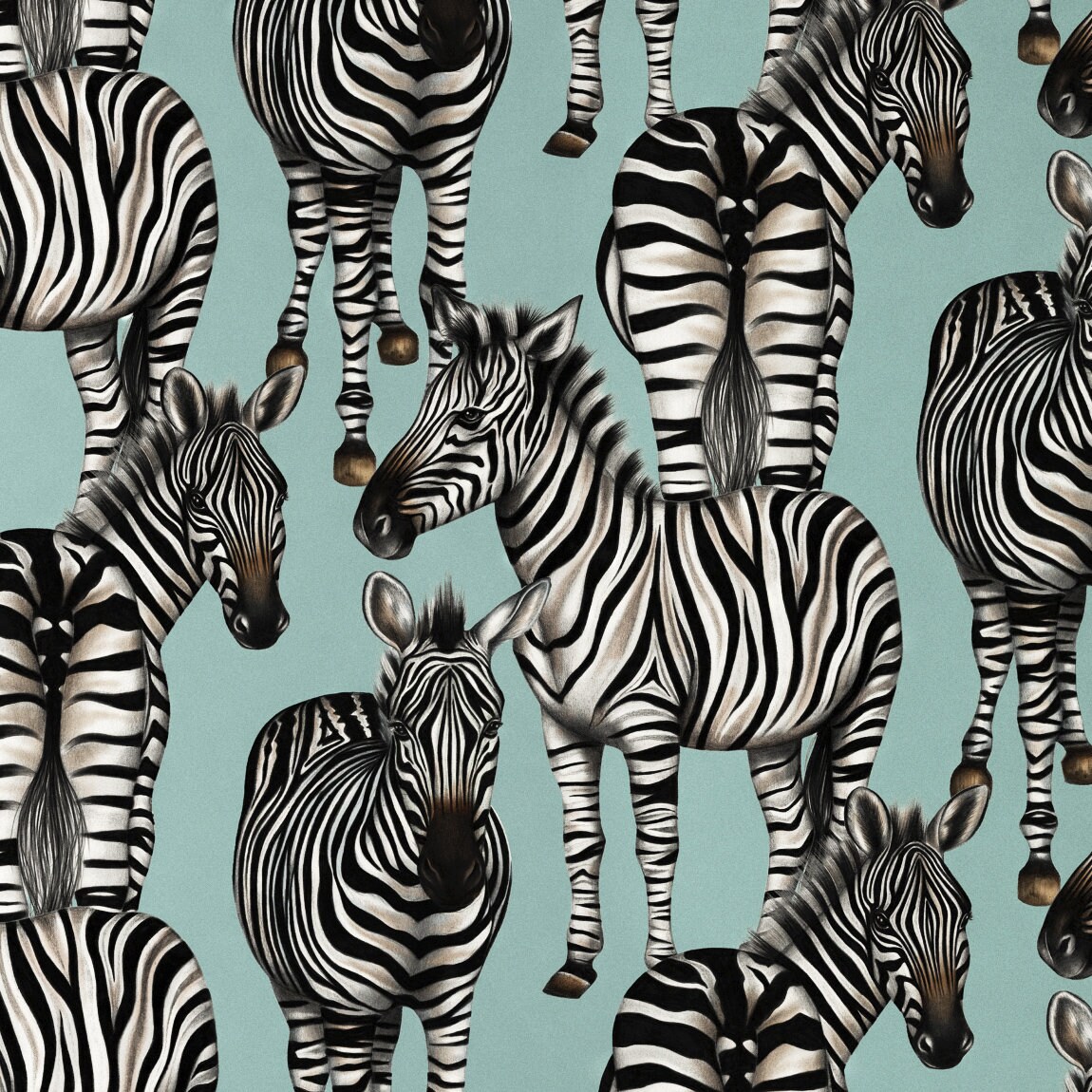 Zebras Wallpaper Etsy UK