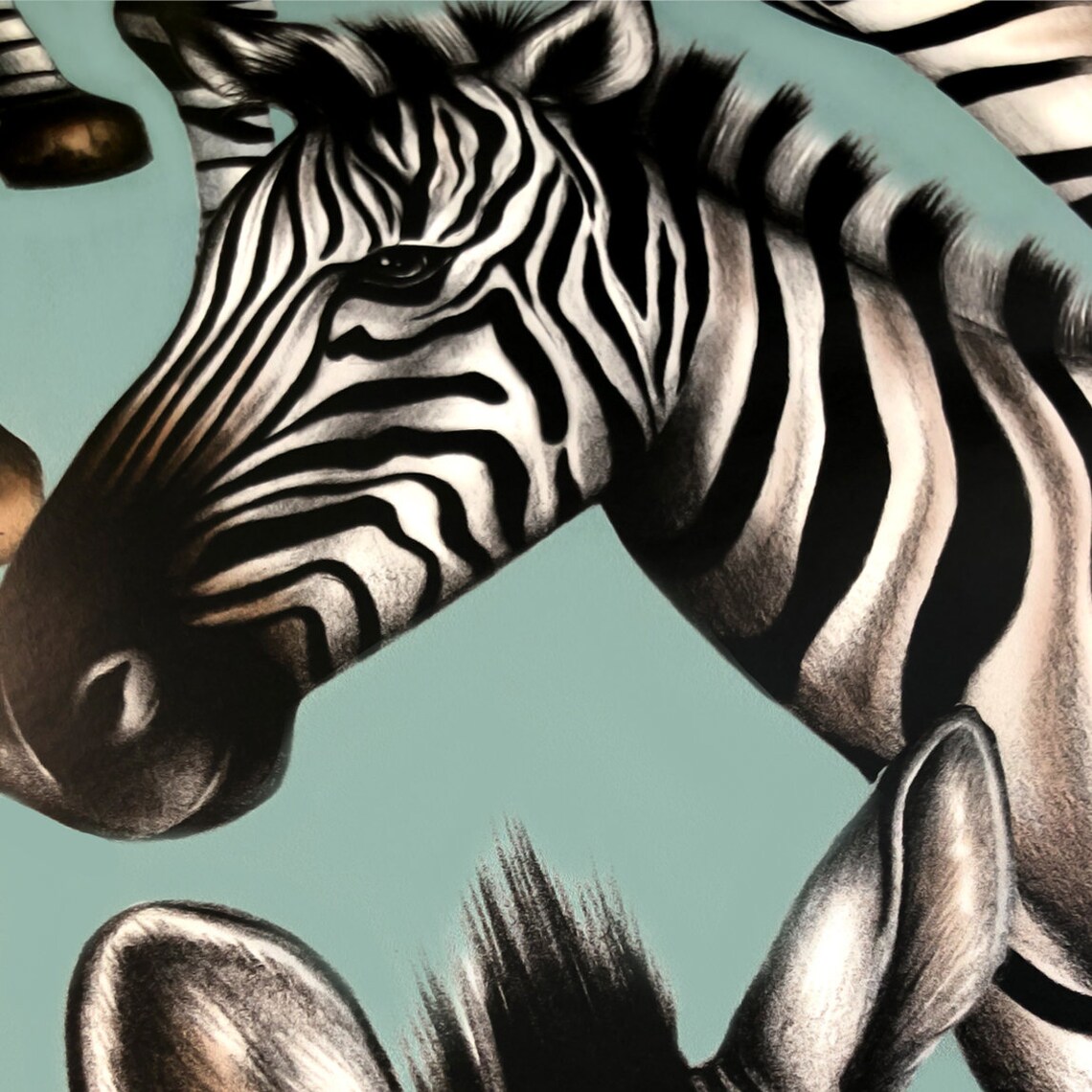 Zebras Wallpaper Etsy UK
