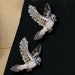 The Boisterous Blue Jay Brooch main image 1