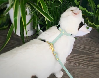 Cat & Kitten Harness in Luxury Vegan Cork Leather For Walking Cats or Kittens Outdoors - Safe and Adjustable Cat Harness, Soft Cat Harness