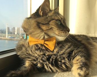 Yellow Cat Bow Tie in Vegan Cork Leather, Eco-Friendly Kitten Bow Tie, Kitty Bow Tie to Attach to Cat Collar, Cat Gift Handmade in the UK