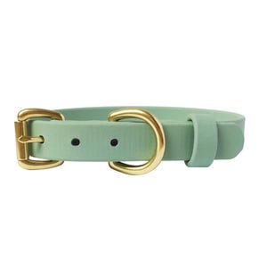 Sage Green BioThane Dog Collar With Traditional Luxury Solid Brass Buckle, Waterproof, Extra Small to Large Sizes, Matching Lead Available