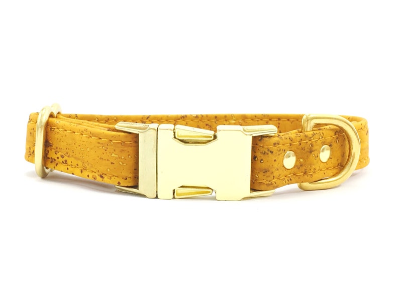 funky leather dog collars