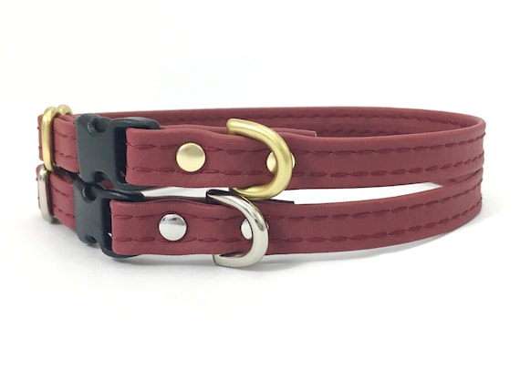 Chihuahua puppy collar sale