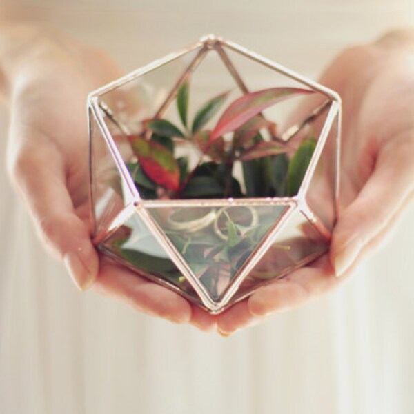 Wedding Ring Glass Box Mini Icosahedron Geometric Terrarium Handmade Glass Succulent Desktop Planter  Miniature Outdoor Fairy Garden Gift