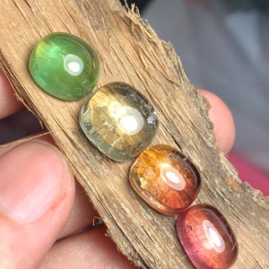 K&ouml;nnte beinhalten: Vier ovale Edelsteine in verschiedenen Farben, darunter Gr&uuml;n, Gelb, Orange und Pink, werden auf einem St&uuml;ck Holz pr&auml;sentiert.