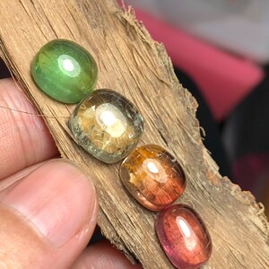 K&ouml;nnte beinhalten: Vier ovale Edelsteine in verschiedenen Farben, darunter Gr&uuml;n, Gelb, Orange und Pink. Die Steine sind in einer Reihe auf einem St&uuml;ck Holz angeordnet.