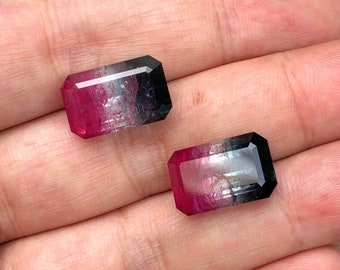 Tricolor tourmaline pair