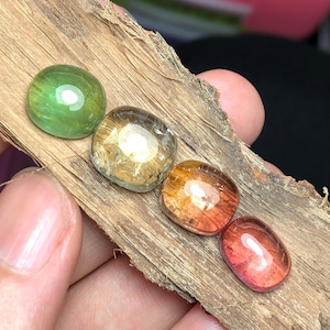 K&ouml;nnte beinhalten: Vier ovale Edelsteine in verschiedenen Farben, darunter Gr&uuml;n, Gelb, Orange und Rot, sind in einer Reihe auf einem St&uuml;ck Holz angeordnet.