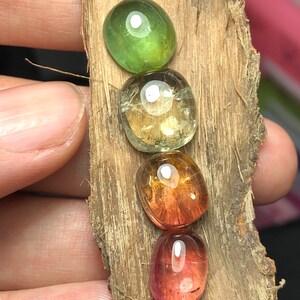 K&ouml;nnte beinhalten: Vier ovale Edelsteine in verschiedenen Schattierungen von Gr&uuml;n, Gelb, Orange und Rosa. Die Steine sind vertikal auf einem St&uuml;ck Holz angeordnet.