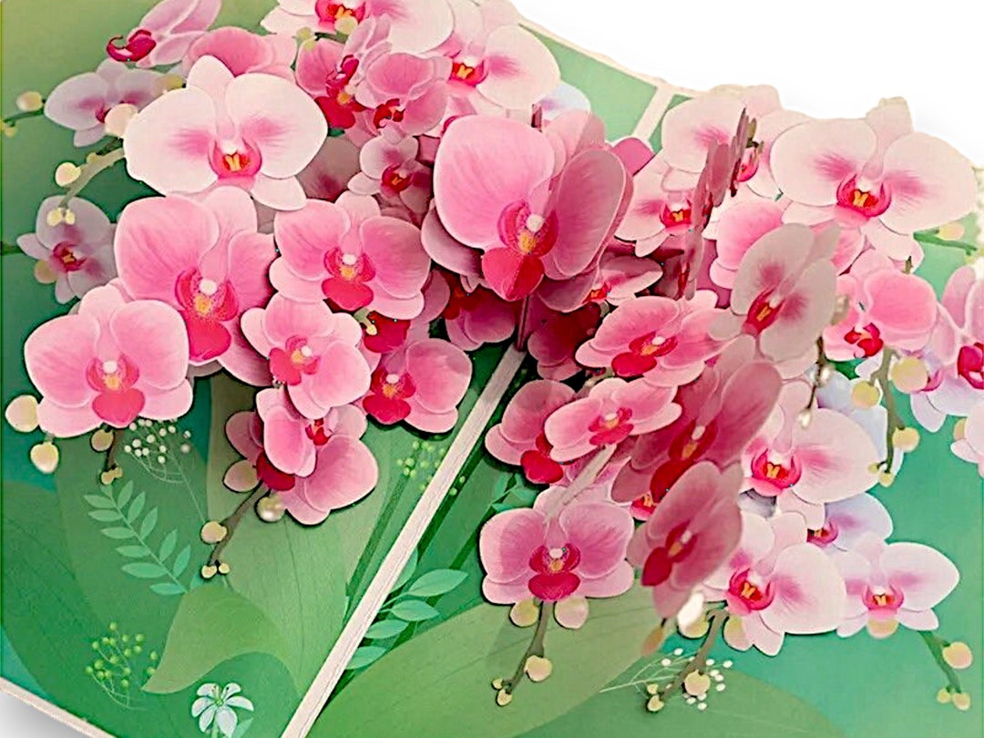 Biglietto D'Auguri Pop Up 3D – Orchidea Rosa – Elegante E Sorprendente