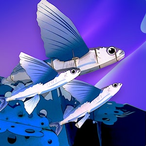 Carte pop-up FLYING FISH - carte Life of Pi - carte pop up poisson assemblée à la main - carte poisson argenté - carte d'art 3D poisson volant - carte scène océan