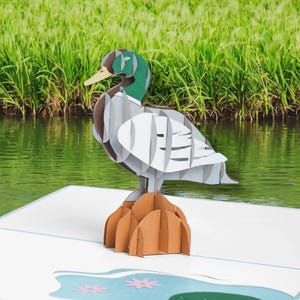 3D ENTEN Karte - Stockenten Pop Up Karte - Wildenten Geschenk - Vogelbeobachter - Vatertag - Drake die Ente - Quacky Geburtstag - Was zur Ente