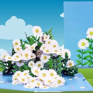 HAPPY GÄNSEBLÜMCHEN Pop Up Karte - 3D Wildblumen Grußkarte - Blumen Geburtstagskarte - Neues Baby Karte - Gänseblümchen Blumenkarte - Gänseblümchen