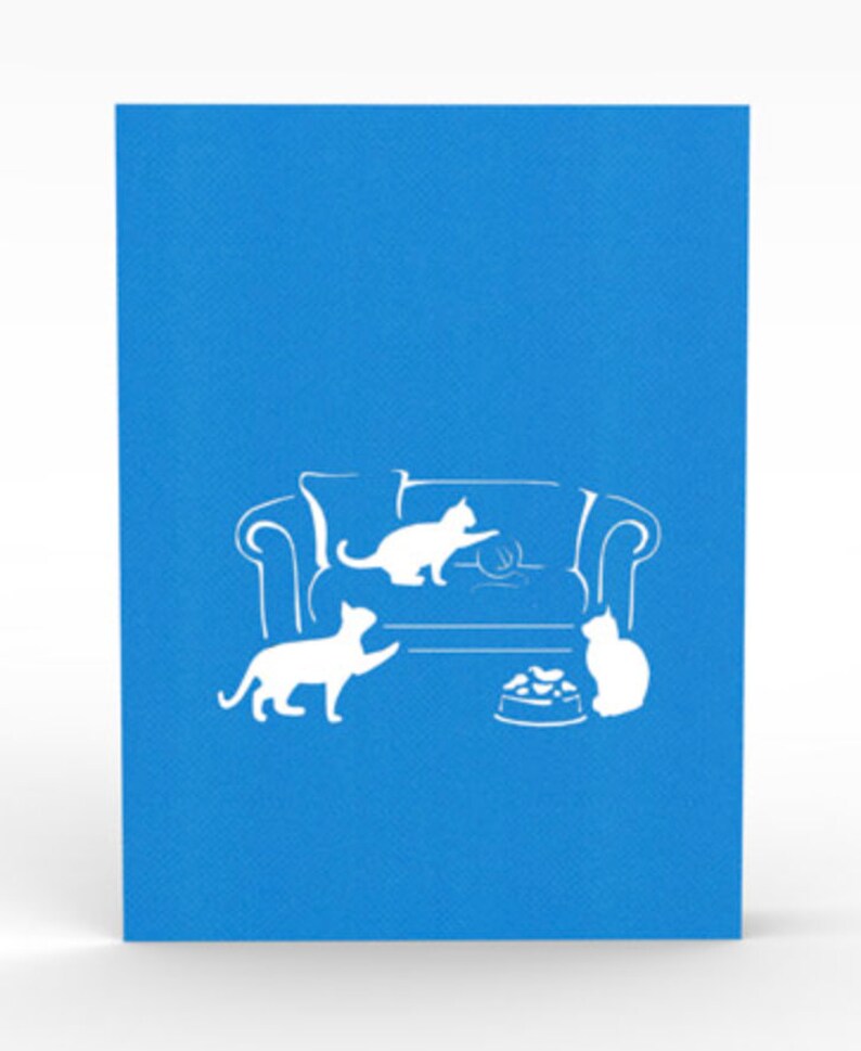 cover for Cat Trouble pop up card, cat life.